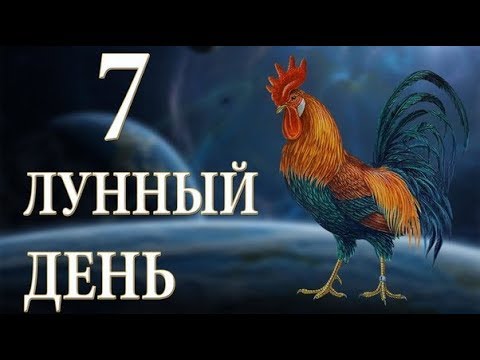 7 ЛУННЫЙ ДЕНЬ. ХАРАКТЕРИСТИКА