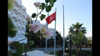 Club President Хаммамет Тунис Обзор отеля
