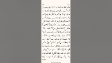 الصفحة الثامنة والثلاثون (38) سورة البقرة مكررة لتيسير الحفظ بصوت ياسر الدوسري (الجزء الثاني) مكررة