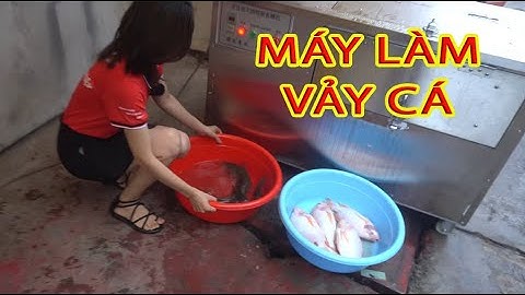 Đánh giá chi tiết máy đánh vảy cá Takyo TK 700 cho bà con làm sạch vảy cá lóc trong 1 phút