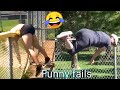 Comedys  pranks  fails moments  by linh lan tv 