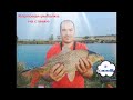 Карповая рыбалка в Запорожье! Ловля карпа 2020!