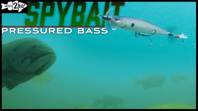 Modifying Bass Fishing Lures with Bladed Treble Hooks 