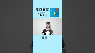 噛めば噛むほどクセになるラブソング『XL』が収録された #坂口有望 のEP配信中👗