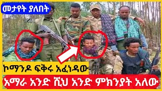 Ethiopia - ሰበር | አማራ አንድ ሺህ ምክንያት አለው | ኮማንዶ ፍቅሩ አፈነዳው ፋኖ | ethio mereja