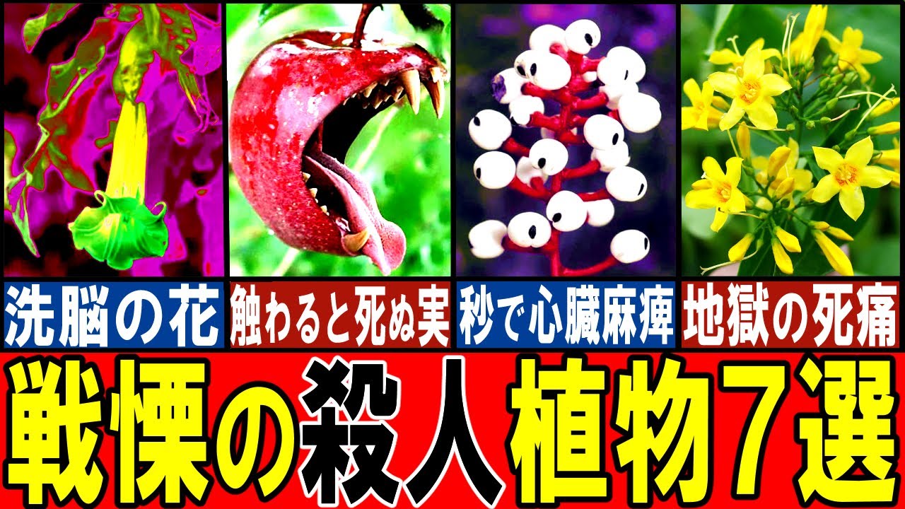 【閲覧注意】あまりに危険すぎる殺人植物７選【ゆっくり解説】【動物おもしろ雑学】