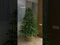 Миранда 215 см - самая популярная елка