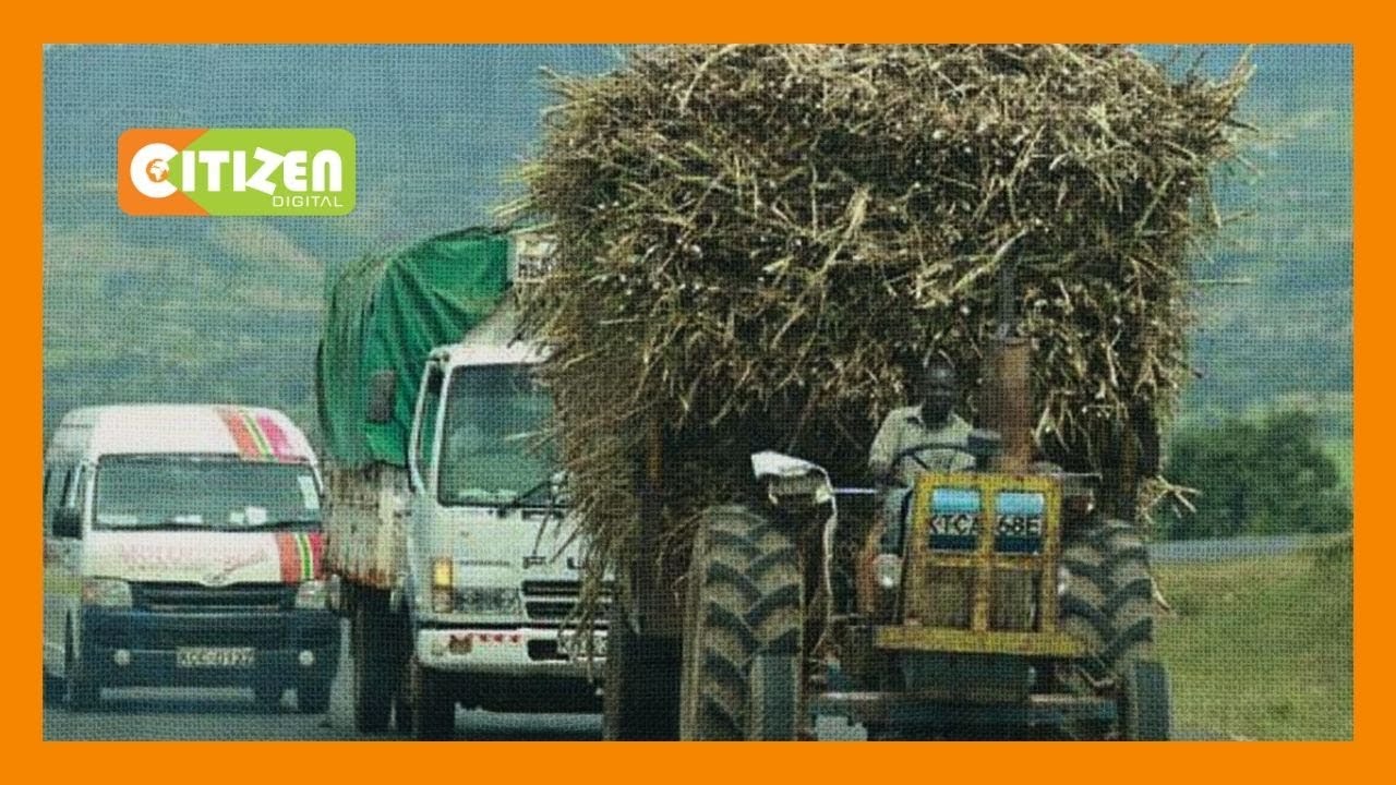 Chemelil Sugarcane farmers demand pay