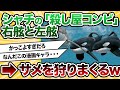 【2ch動物スレ】シャチの「殺し屋コンビ」が南アのホオジロザメを次々と狩りまくっている