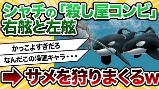 【2ch動物スレ】シャチの「殺し屋コンビ」が南アのホオジロザメを次々と狩りまくっている