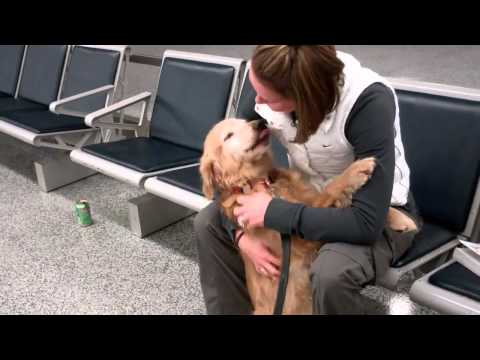 Dog (Molly) Sees Mom, Just Home From Afghanistan