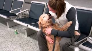 Dog (Molly) Sees Mom, Just Home From Afghanistan