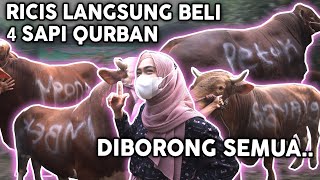 4 SAPI DIBORONG SEMUA SAMA RICIS.. Dibalik Qurban..