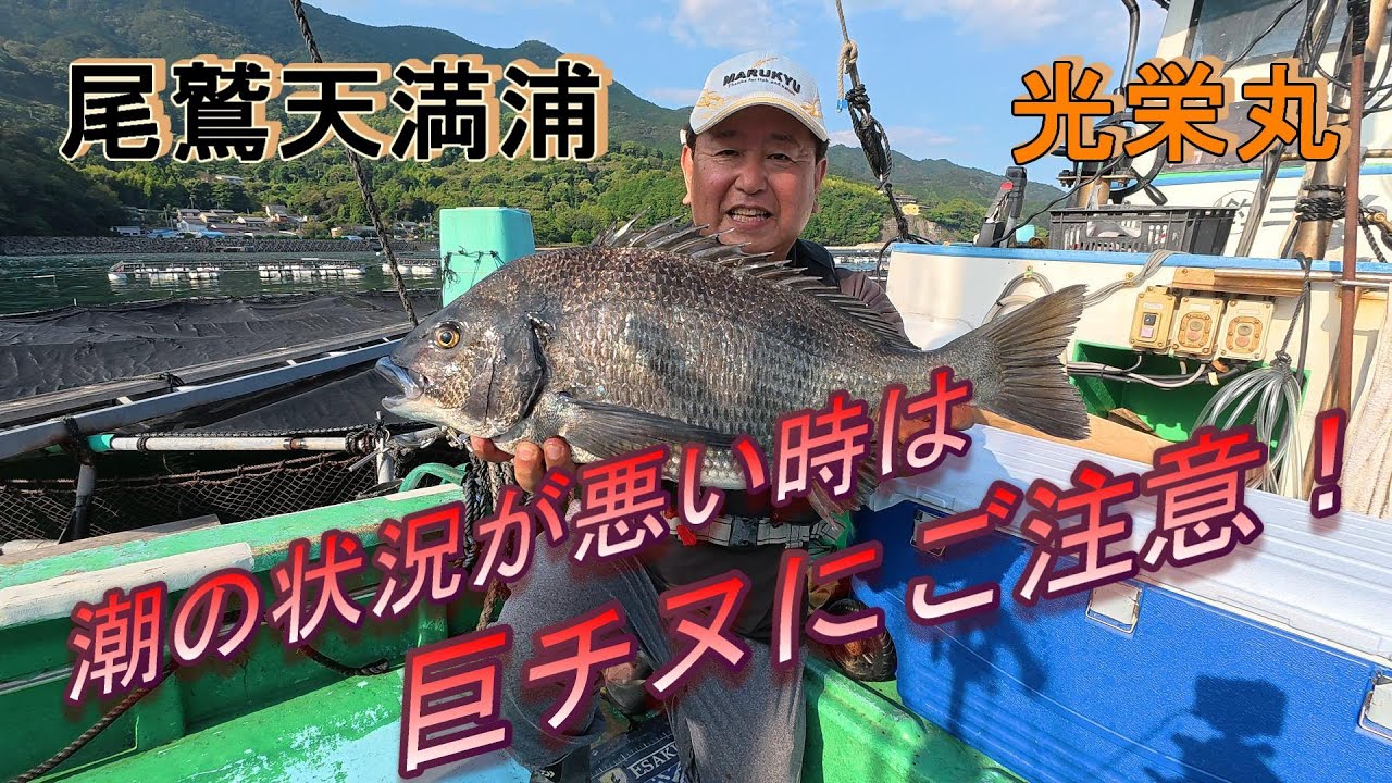 【かかり釣り】2025 0915 尾鷲天満浦