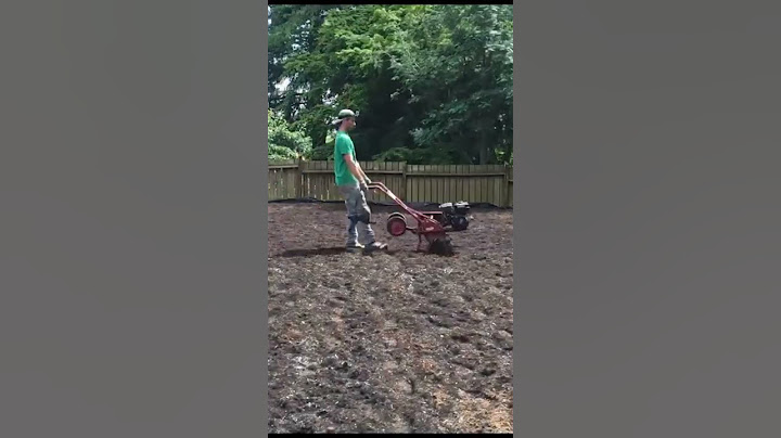 How To Grow Grass #shorts