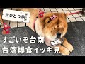 【台湾イッキ見2🇹🇼】女ひとり爆食旅/台南・台北激旨グルメ/台南おすすめ宿