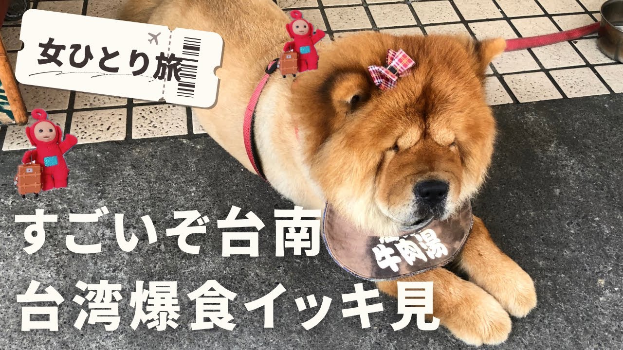 【台湾イッキ見2🇹🇼】女ひとり爆食旅/台南・台北激旨グルメ/台南おすすめ宿