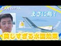 【湖面スレスレ】これぞ滑空機の醍醐味！チーム記録を更新するビッグフライト！