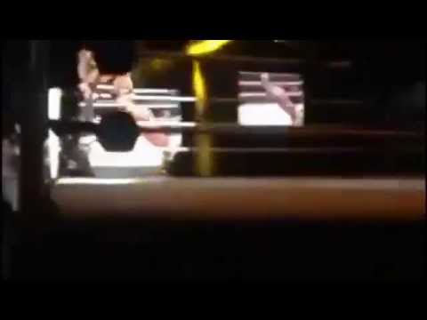 Randy Orton attacked by a fan in Cape Town, South Africa