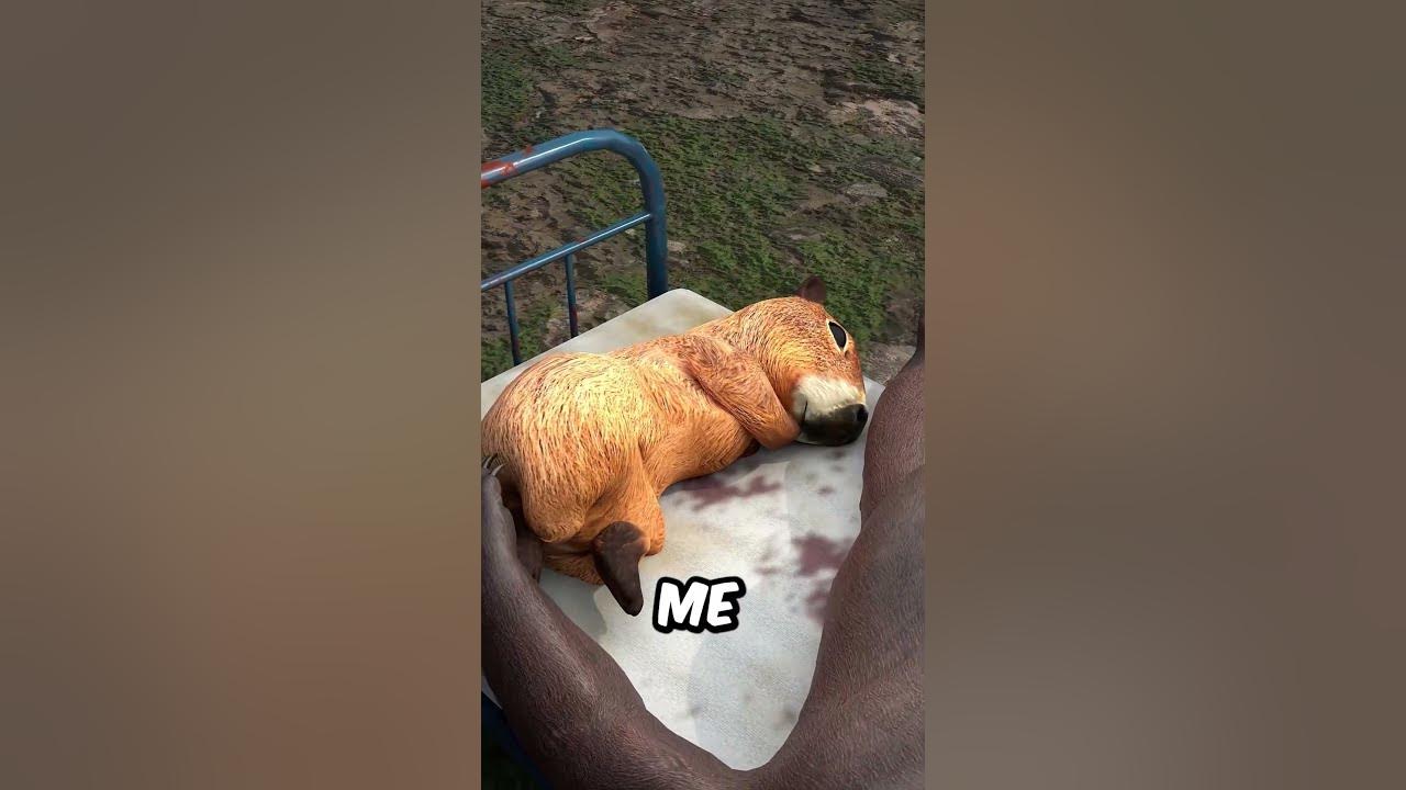 SUEÑO RARO DE CAPIBARA el MEME más RANDOM del MUNDO
