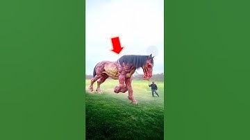 NHỮNG TỔ TIÊN CỦA ĐỘNG VẬT NGÀY NAY | 😨 #facts #amazingfacts #thaukinhdongvat