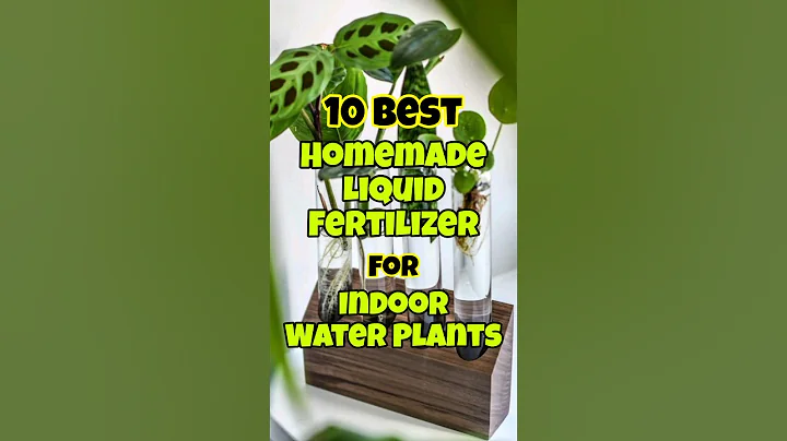 Best homemade liquid fertilizer for indoor water plants #viralshorts #indoorplants #houseplants