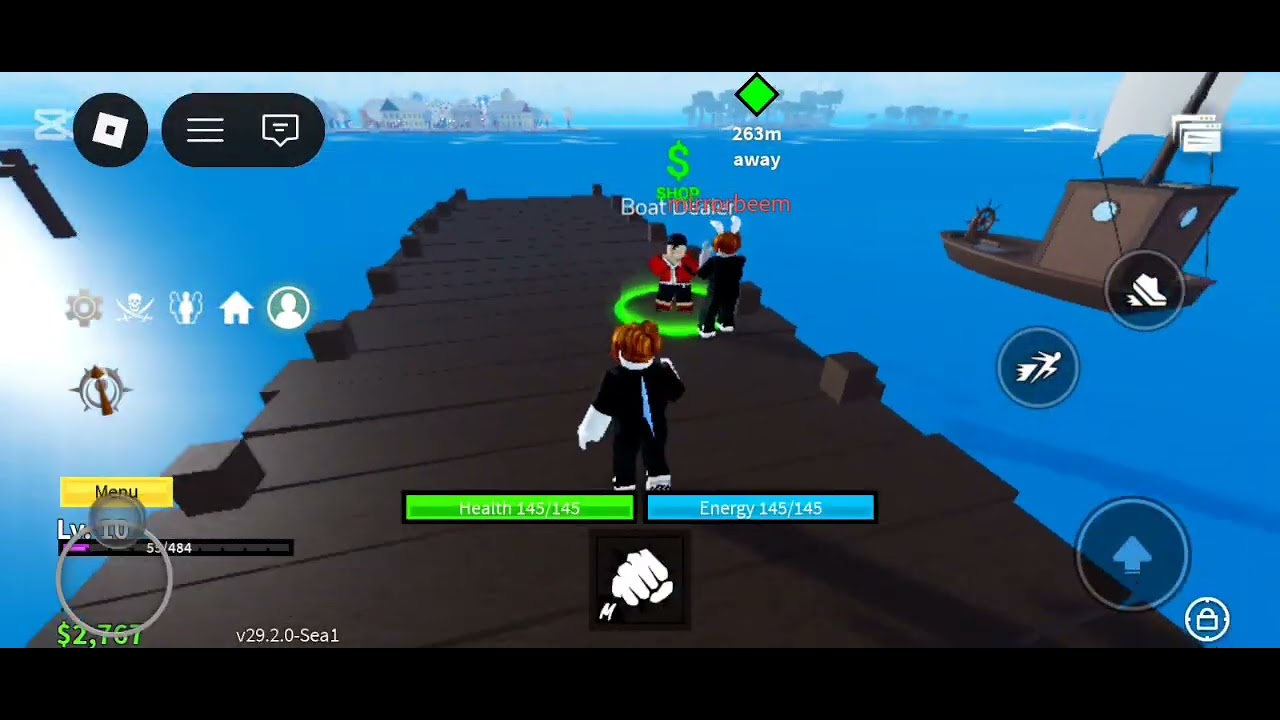 Me and mirror played blox fruits 🤣🤣🤣