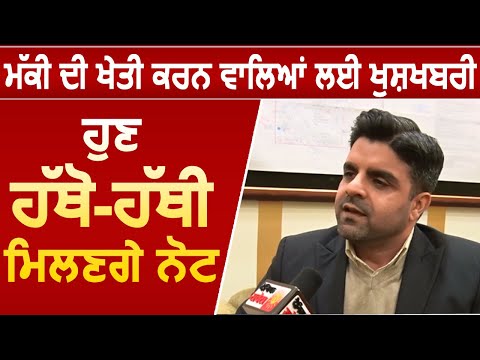 Pungrain के नए बने Director Pankaj Sardana का Exclusive Interview