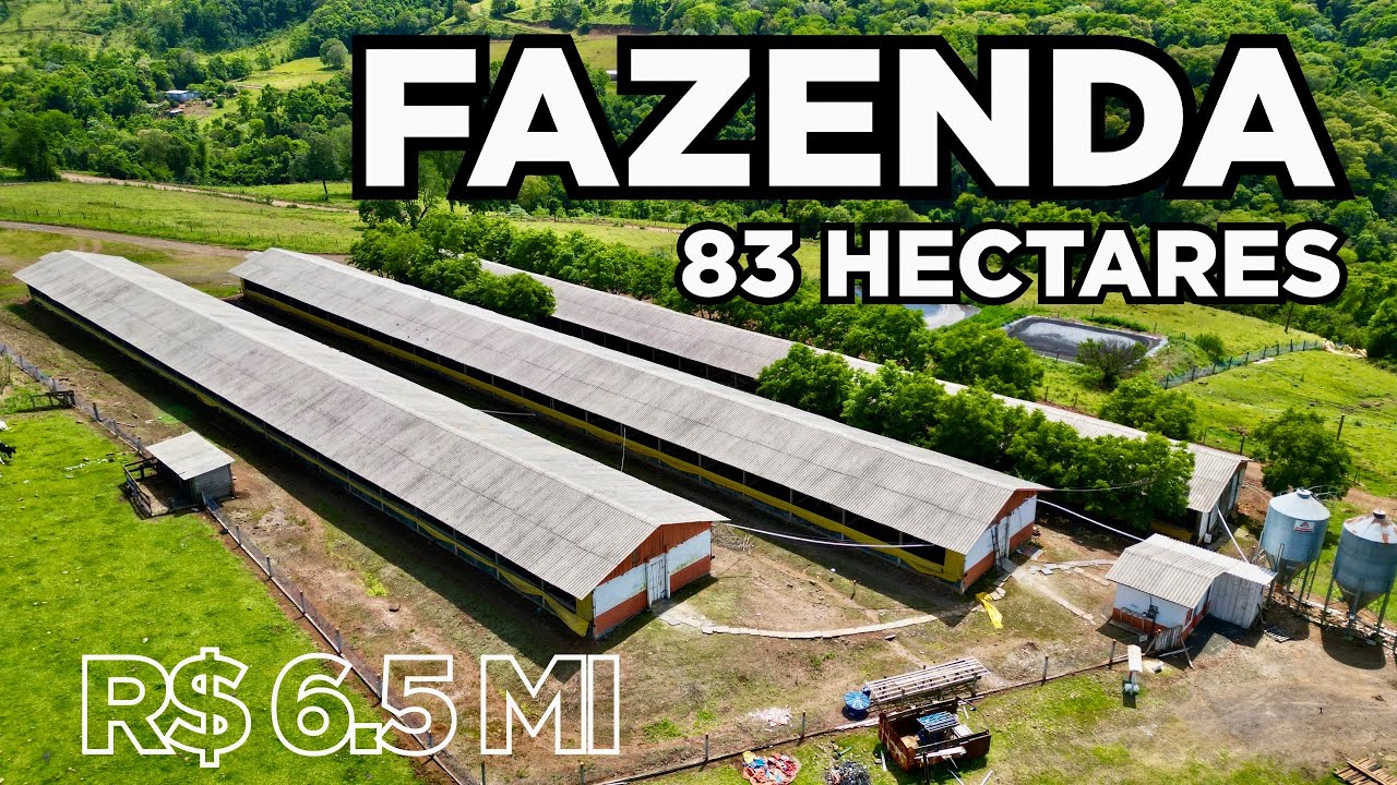 FAZENDA EM SANTA CATARINA 83 HECTARES PARA PECUÁRIA E CHIQUEIRÃO R$6.5MI