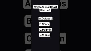 Can You Guess?? Can You Guess??