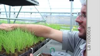 TITULARES AGRONOTICIAS sie7e PROGRAMA 328