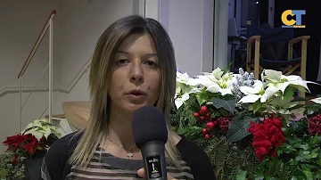 Che Colli ci sono in Veneto?