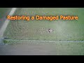 How to restore damaged pasture techniques