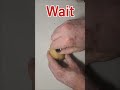 Socket Potato Peeling Fail