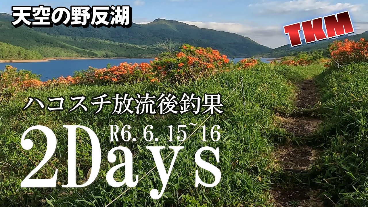 【天空の野反湖】ハコスチ放流があった週の釣果🎣R6 6 15～16
