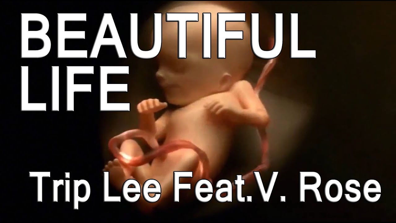 trip lee beautiful life mp3 download