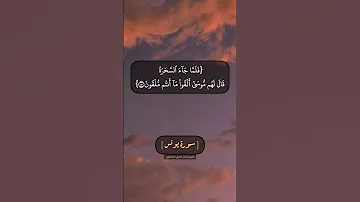 سورة يونس الآية ٧٩ الى ٨٢ بصوت الشيخ محمد صديق المنشاوي 