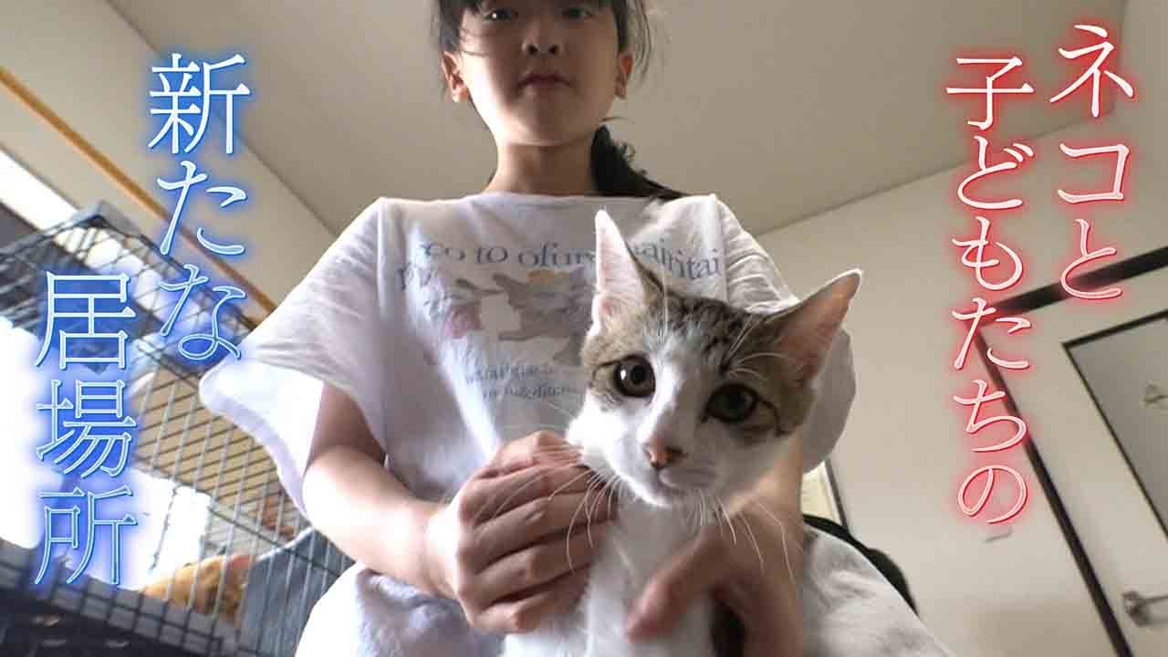 【保護猫フリースクール】不登校の小学生と母親が作った“新たな居場所”　大阪･河内長野市【newsおかえり特集】