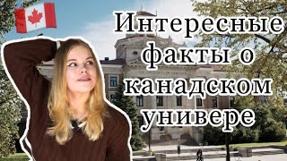 Мой университет в Канаде - Интересные факты (Часть 1)