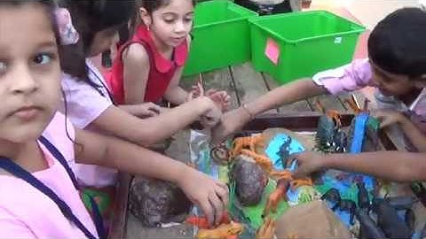 Project Based Learning for Year 2 Science on Wild Animals and their Habitat