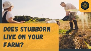 Does Stubborn Live on Your Farm?