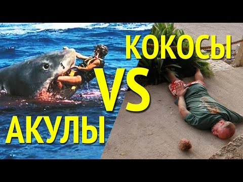 ПОЧЕМУ КОКОС ОПАСНЕЕ АКУЛЫ? Статистика смертности в мире