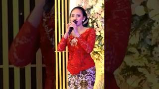 Download Lagu Silvi Kumalasari | Wiso Tresno | Shorts | #video #dangdut #campursari #koplo MP3 Download Lagu Silvi Kumalasari | Wiso Tresno | Shorts | #video #dangdut #campursari #koplo MP3