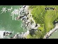 《美丽中国自然》 红礵岛：福建海岸线上的红色奇迹 闽东系列【CCTV纪录】
