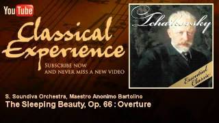 Video thumbnail of "Tchaikovsky : The Sleeping Beauty, Op. 66 : Overture - ClassicalExperience"