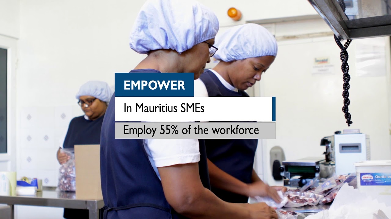 Reaping the benefits of the EPA between the EU and the Republic of Mauritius video editing software free