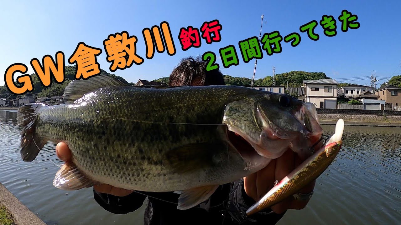 【岡山・倉敷川】5月のバス釣り / DEPS リルラビット / DEPS