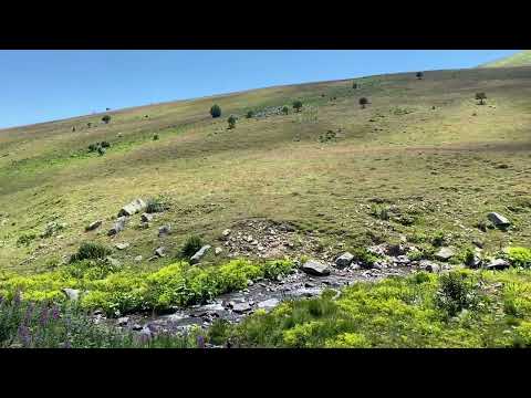 ARDAHAN POSOF Armutveren köyü (papola) yaylası