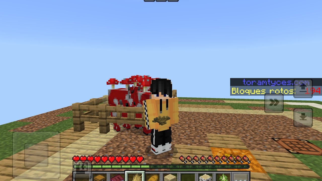 Minecraft Sky Block oynuyorum