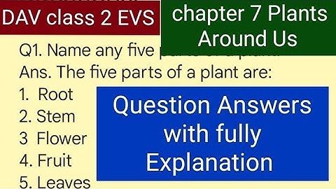 DAV class 2 EVS chapter 7 (Plants Around us) Question Answers with fully Explanation 